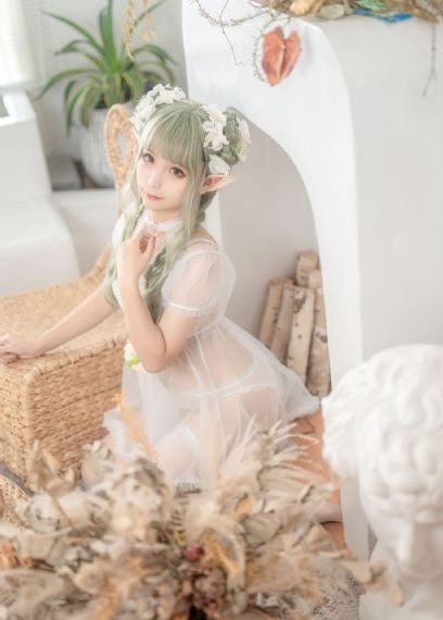 灿烂的花园综艺免费观看