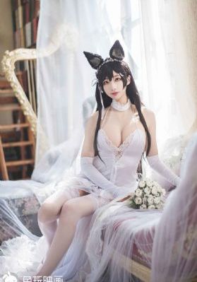 问问星星吧